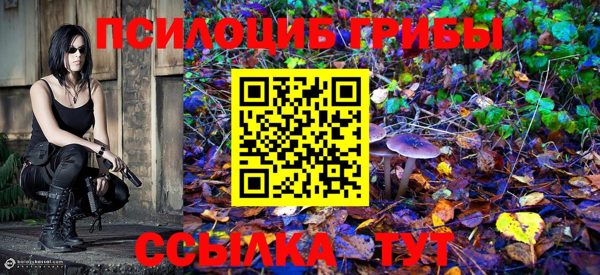 Сибай  Галлюциногенные грибы Cubensis  Вход с VPN 